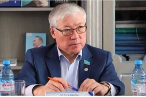 Избирать акимов районов должны депутаты маслихатов – мнение эксперта