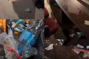 В цирке Алматы показали, как зал превращается в свинарник после представления