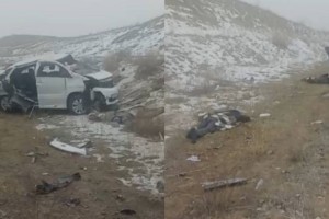 Студенты из Индии погибли в страшном ДТП на трассе под Алматы