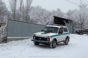 Трагедия близ Талгара: мужчина зарезал жену на глазах 5-летней дочери