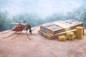 На борьбу с кровососущими насекомыми в Павлодарской области направят миллиарды