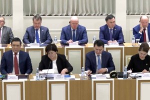 Народный совет получит законодательную инициативу и полномочия по референдуму