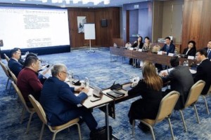 Новую политическую партию создают в Казахстане