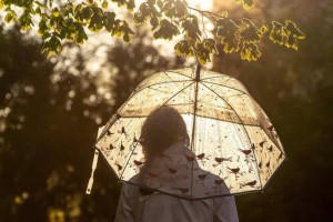 Искусственный дождь планируют применять в Казахстане