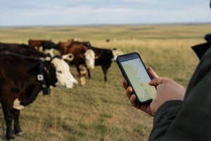 Миллионные убытки: фермеры судятся с поставщиком GPS-услуг