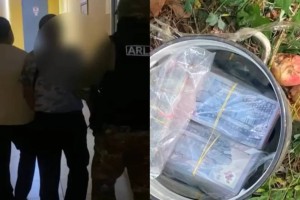 В Павлодаре нашли 24 миллиона тенге в кастрюле под яблоней