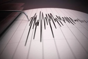 Землетрясение магнитудой 5,6 произошло в Индонезии
