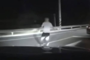 В Южной Корее задержали казахстанца после инцидента, попавшего на видеорегистратор