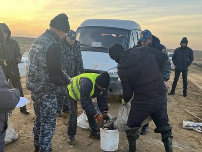 Экологическая трагедия: более 440 кг рыбы погибло на канале в Атырауской области.