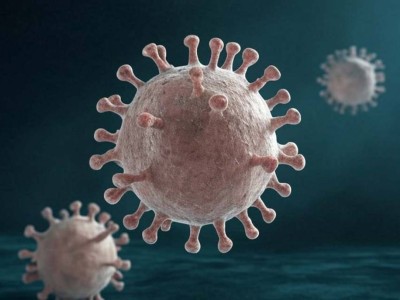 Свиный грипп A(H1N1): этиология, история, клиника, профилактика и прогнозы.