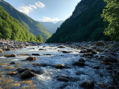 Река затопила медцентр и дома в Алматинской области.
