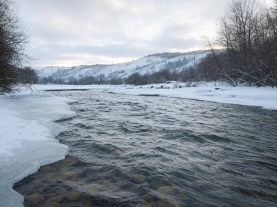 Угроза подтопления: уровень воды в реке Киши Алматы стремительно растет.