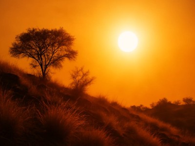 Погода в Казахстане: в Алматы жара до +39 °C, в Астане дожди и похолодание.