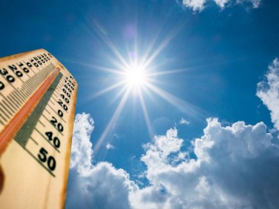 Глобальное потепление в действии: мир страдает от рекордной жары.