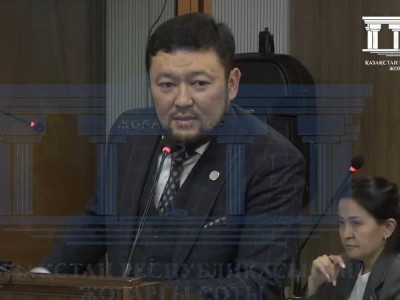 Адвокат предложил обвинить Нурсултана Назарбаева в ходе судебных прений.
