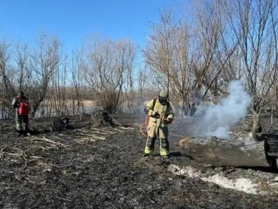 Пятый день борются с огнем в камышах на берегу Каспия.