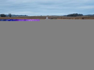 В Жамбылской области наказали 57 чиновников за плохие дороги.