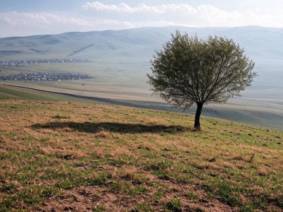 Землетрясение в 277 километрах от Алматы.