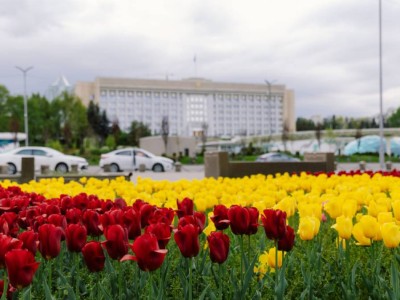 Алматы готовится к масштабной сейсмотренировке 21 мая.