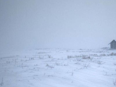 В Актюбинской области нашли пропавшего фермера, укрывшегося в будке.