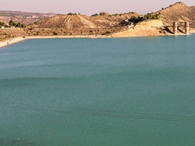 Новая жизнь юга Казахстана: водохранилище преображает земли.