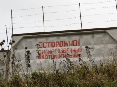 Опасное соседство: Сибирская язва у домашнего порога.