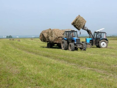 В ходе уборочной кампании в ЗКО собрано почти 300 тысяч тонн зерна.