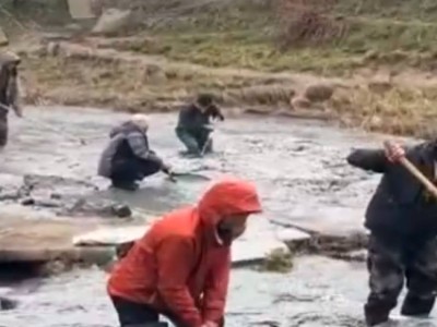 Невиданный улов: жители ловят рыбу руками после прорыва дамбы возле Алматы.