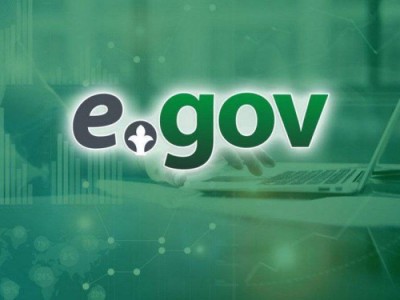 Казахстанцы жалуются на “пропажу” детей с портала eGov.kz .