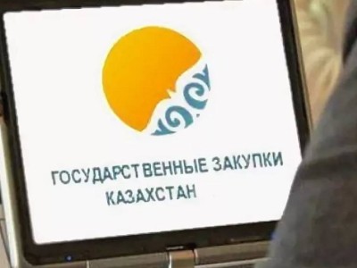 Сколько потратят акиматы на госинформзаказ в текущем году?.