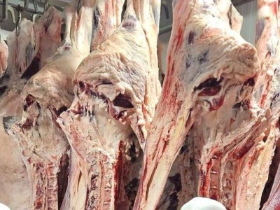 Минсельхоз ответил на опасения по поводу мяса сайгака
