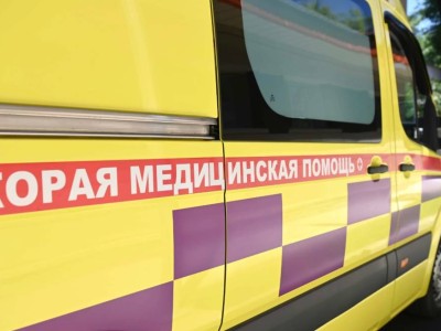 Алматинку убила рухнувшая с дерева ветка