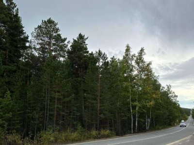 Эко-день «Чистый лес» прошёл в Бурабае