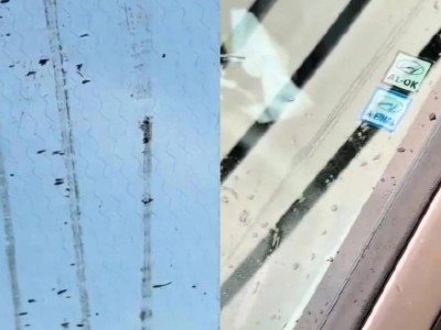 Водители жалуются на странные следы после дождя в Алматы