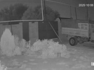 Землетрясение почувствовали в Шымкенте, Жамбылской и Туркестанской областях