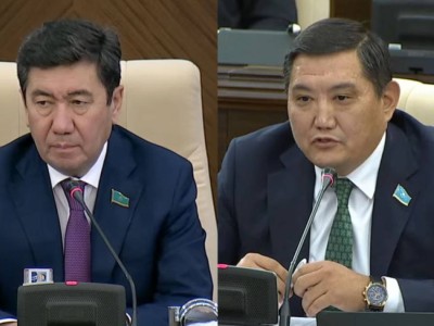 "Не переходите на личности". Глава Мажилиса сделал замечание депутату