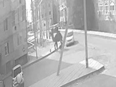 Верблюд затоптал ребёнка в Кульсары