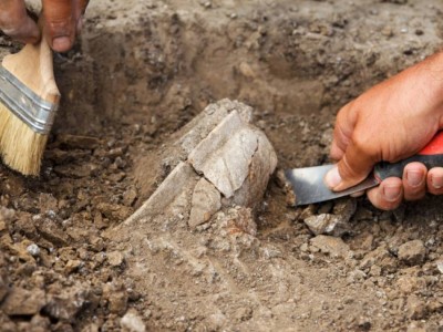 “Приезжают в Казахстан, выкапывают и увозят“ - депутаты просят до 12 лет для чёрных археологов