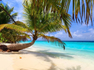 Несовершеннолетним казахстанцам запретили курить на Мальдивах