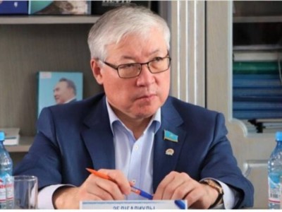 Избирать акимов районов должны депутаты маслихатов – мнение эксперта