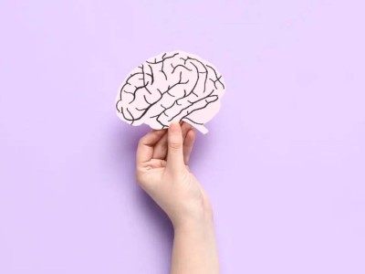 Учёные выяснили, что мозг человека полностью взрослеет только после 30 лет