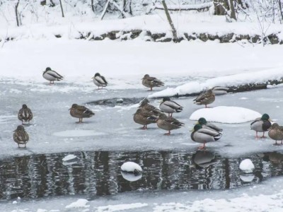 Арктический холод надвигается на Казахстан