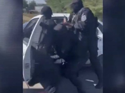 Схемы по продаже детей, элитному эскорту и секте раскрыло МВД