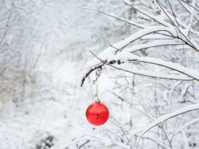 Неожиданную погоду прогнозируют на Новый год в Казахстане