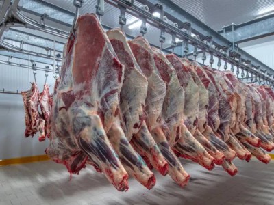 Казахстан ввёл квоты на экспорт говядины: что изменится