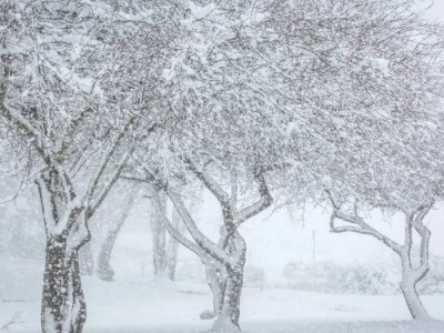 Прогноз погоды на 20 января: снег и низовая метель ожидаются на севере Казахстана