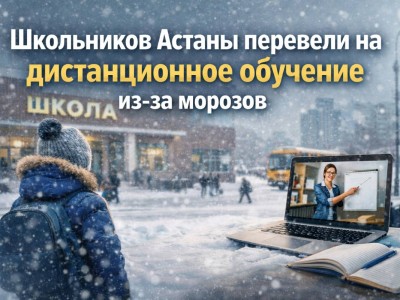 Из-за морозов школьников младших классов Астаны перевели на дистанционное обучение