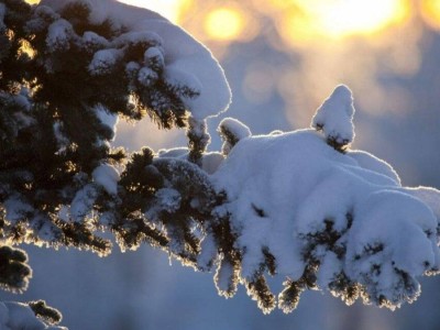 Прогноз погоды на 27 января: снег и мороз ожидаются на севере и местами на западе Казахстана