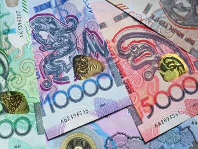 Миллиарды тенге задекларировали казахстанские блогеры