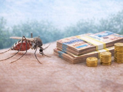 На борьбу с кровососущими насекомыми в Павлодарской области направят миллиарды